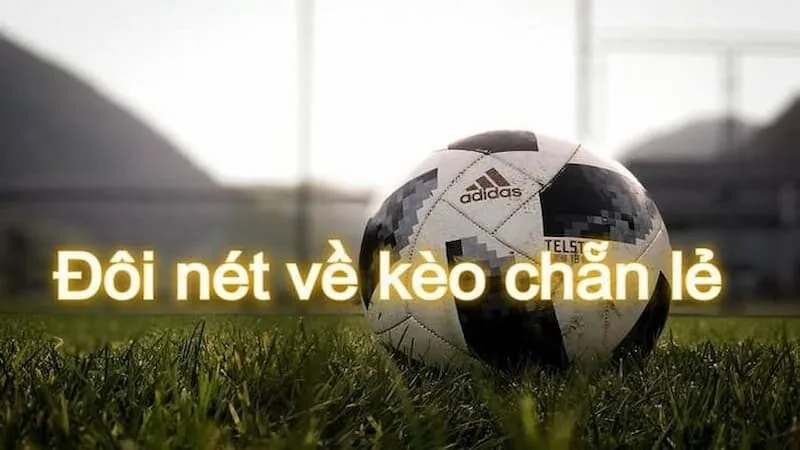Phân loại các kèo chẵn lẻ cơ bản