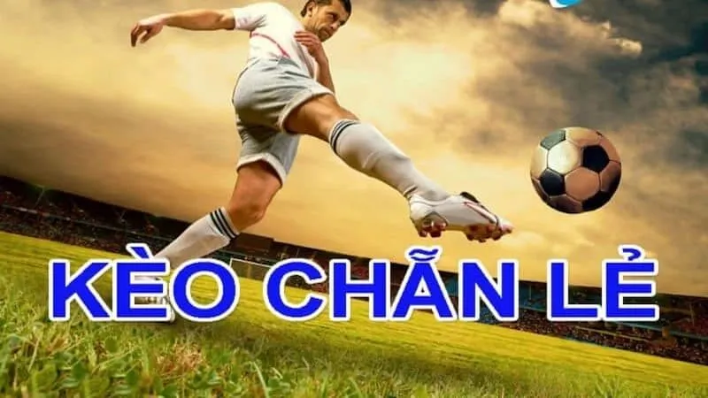 Mẹo bắt kèo chẵn lẻ - phân tích tỉ lệ