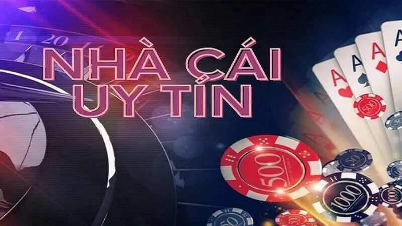 Vì sao bạn nên tham gia cá cược trên Mksport ngay?
