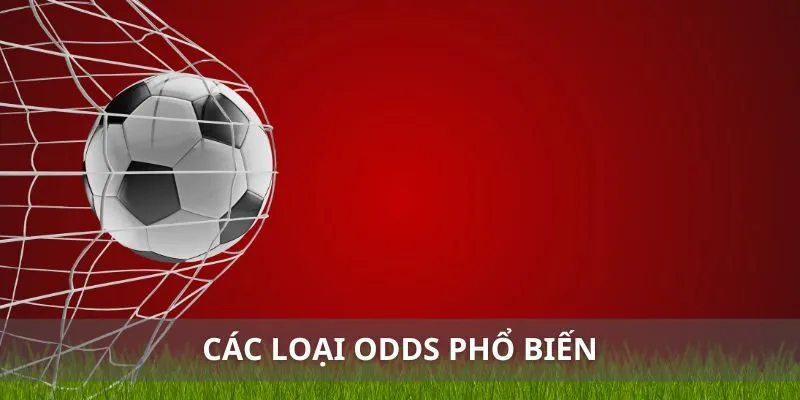 Những loại odds phổ biến nhất bao gồm loại nào?
