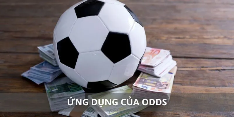 Ứng dụng của odds trong đời sống mà bạn cần biết