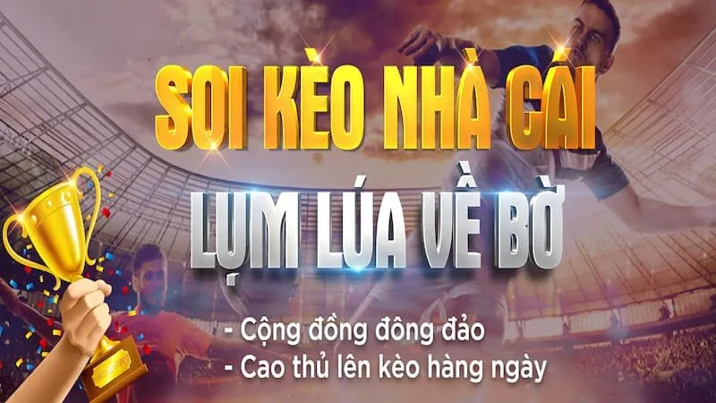 Các cách soi kèo nhà cái MKSPORT hiệu quả