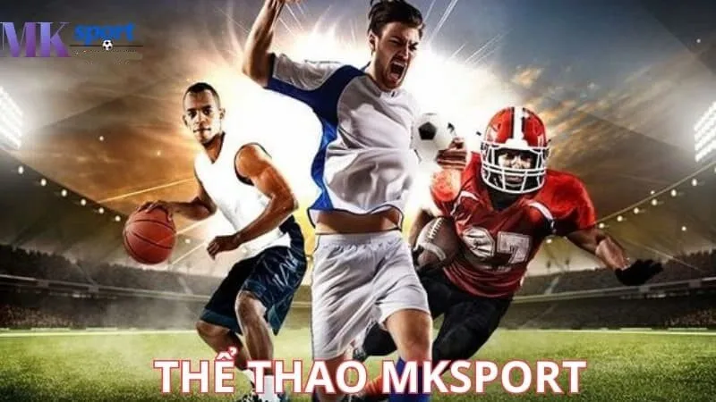 Những bộ môn cá cược thể thao hấp dẫn tại Mksport